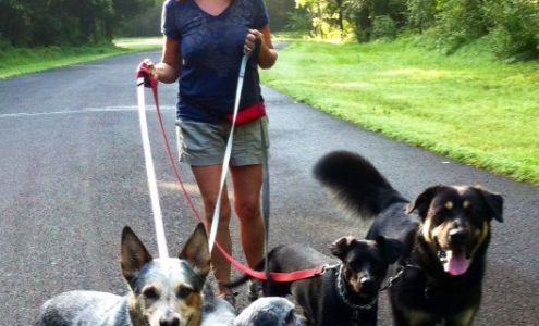 Sittin' Pretty Pet Sitting Service