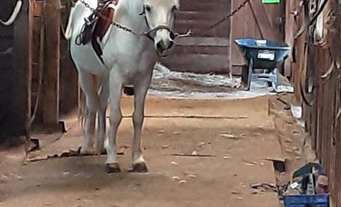 Hawkswood Farm 25 Mason St, Rehoboth Massachusetts 02769