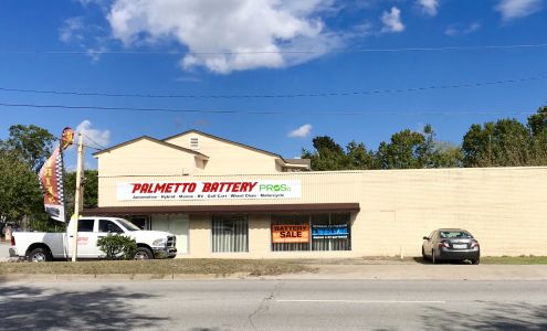 Palmetto Battery Pros