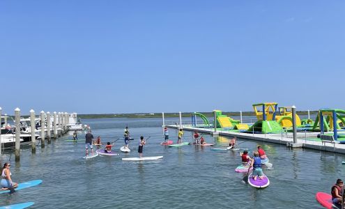 Staceys Surf & Paddle Margate City