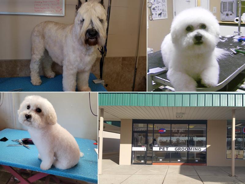 All Gods' Creatures Pet Salon