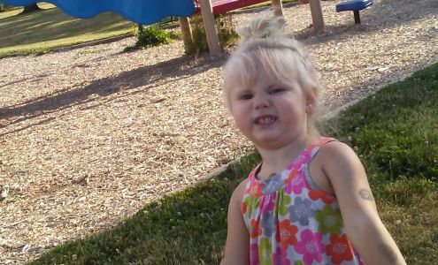 Willow Elementary School