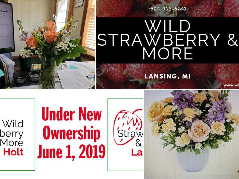 Wild Strawberry and More Lansing