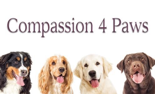 Compassion 4 Paws Veterinary Healing Center 10444 W Grand River Hwy, Grand Ledge Michigan 48837