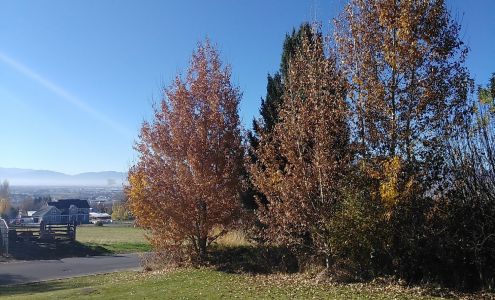 Candace Peterson Hyde Park