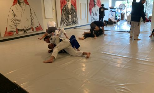 Brazilian Jiu Jitsu Club of Michigan