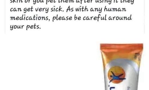 Kalamazoo Dog Training Club