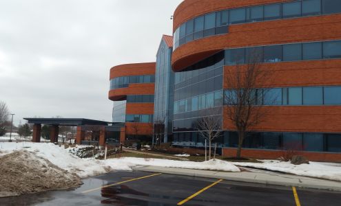 Morgan Stanley Financial Advisors