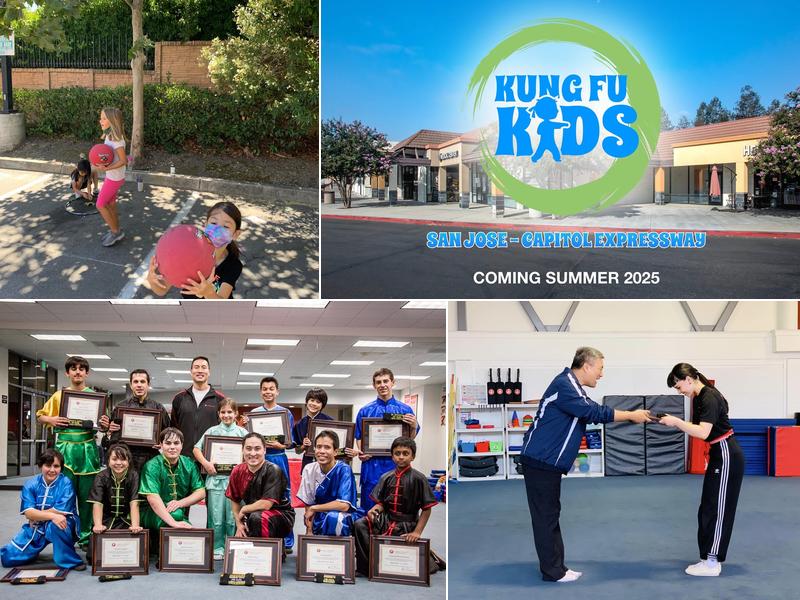 Wushu Central Martial Arts Academy