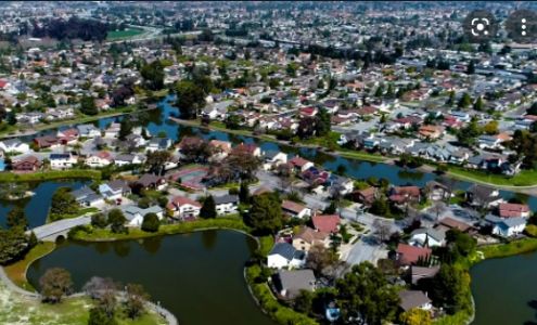 The Money Market Inc