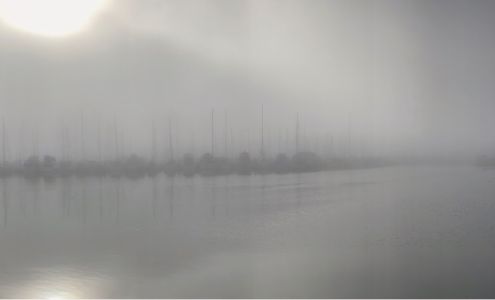 Farmers Insurance - Thomas George