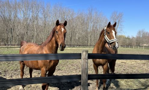Greenbrook Farm Equestrian Center LLC Fair Haven