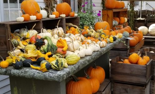 Derby Ridge Farm Stow