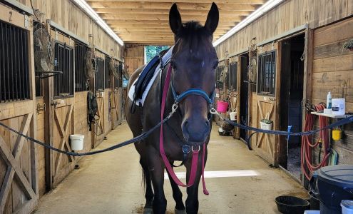 Verrill Stables Danville