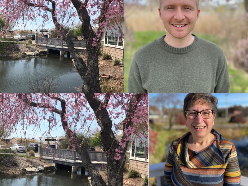 Watts Eye Associates