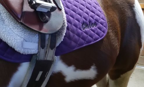 Senator Bell Farm Chester