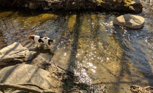 Nonotuck Community School