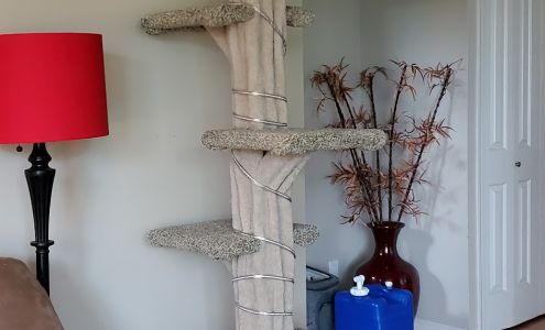 Clayton Critters Victoria