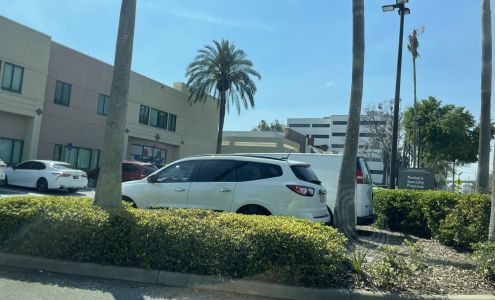 Patricia G. Wheeler, MD, MS