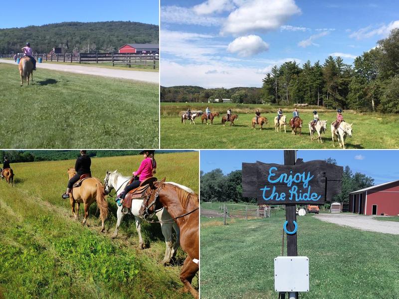 Cinch 'em Up Stables Horseback Riding