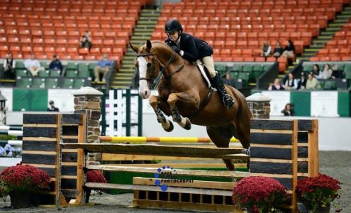 Summer Hill Farm LLC Plainville