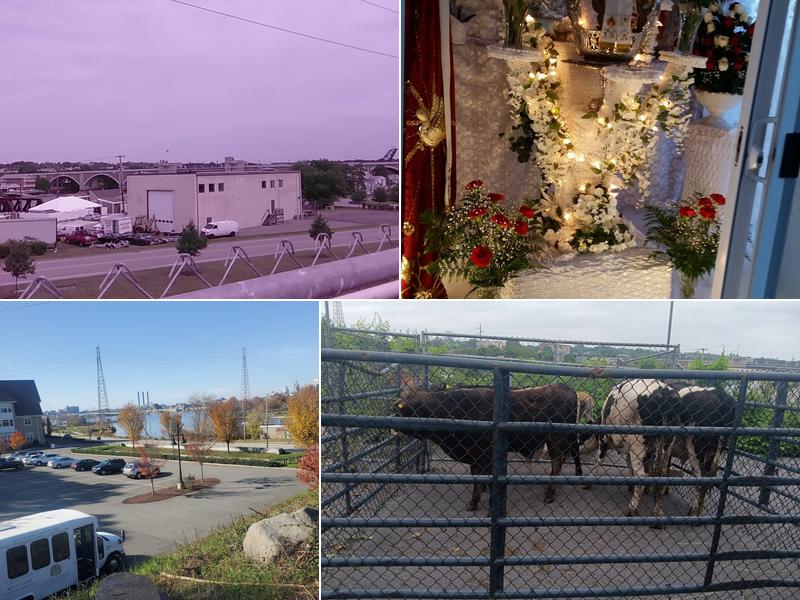 Theophilo Braga Club