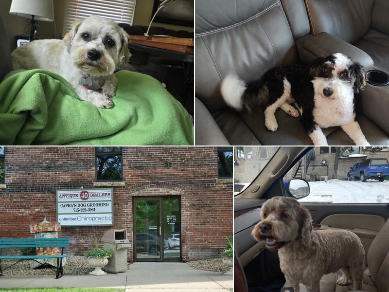 Capra's Dog Grooming