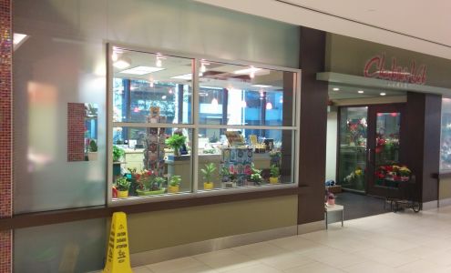 CHARLOTTE'S WEB FLORISTS | Calgary Downtown Flowers - Delivery