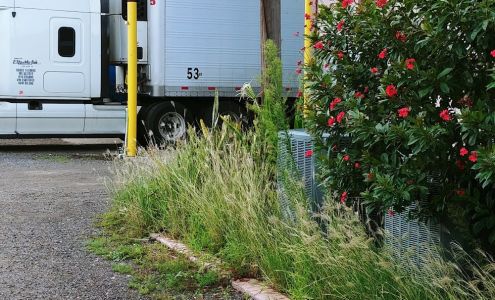 Elton Mirfak 4100 N Raul Longoria Rd, San Juan Texas 78589