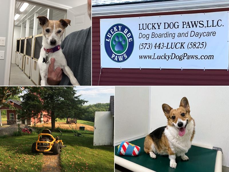 Lucky Dog Paws, LLC. Dog Boarding Service