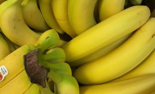 Tomato Boy High Prairie