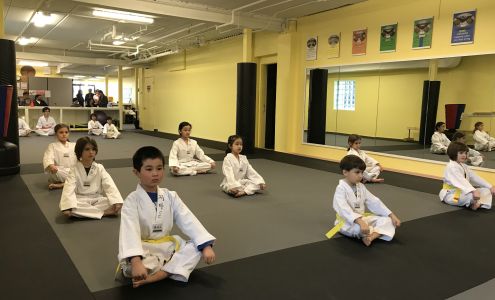 Chang's Yong-In Martial Arts (Taekwondo School)