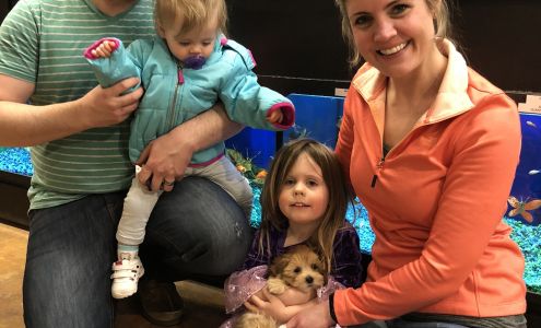 Forestview Montessori