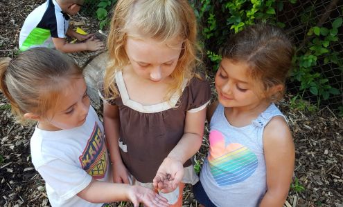 Raising Stars Childcare