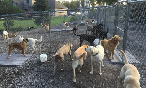Birch Hill Kennels 436 St Louis River Rd, Proctor Minnesota 55810