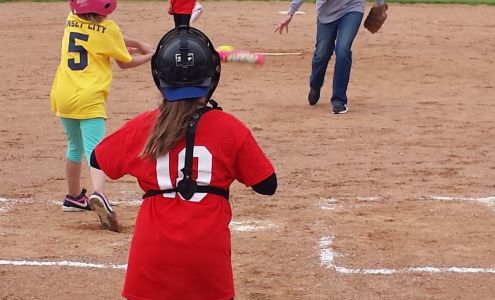 Rose Road Field Hermantown