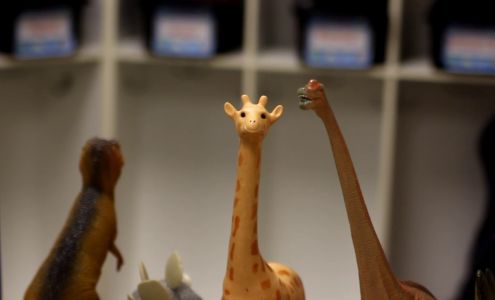 Small World Child Care Preschool Learning Center at FAA Farmington Farmington