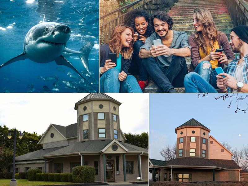 Distinctive Dental Solutions