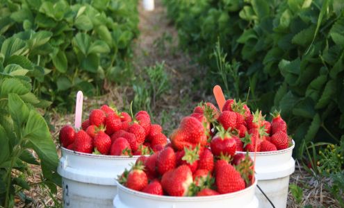 le Versant Fruitier Sainte-Claire