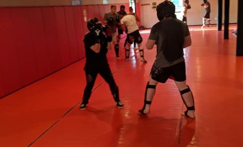 No Limit Killer Bees 408 Cynthia St, Clinton Mississippi 39056