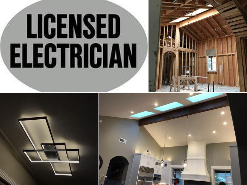 Nikola Tesla Electric