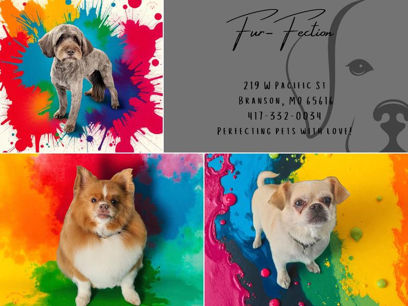 Fur Fection Grooming