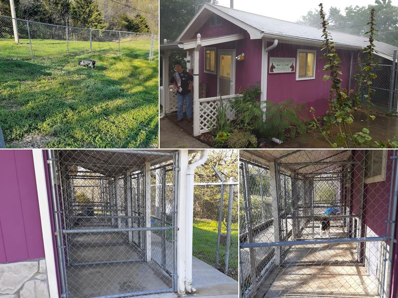 Barking Palace Pet Kennel & Training