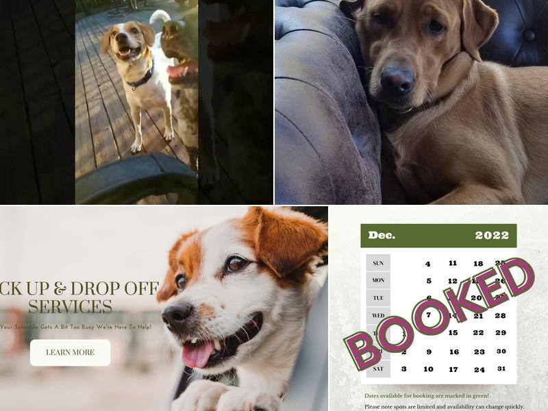 Our Praising Paws LLC