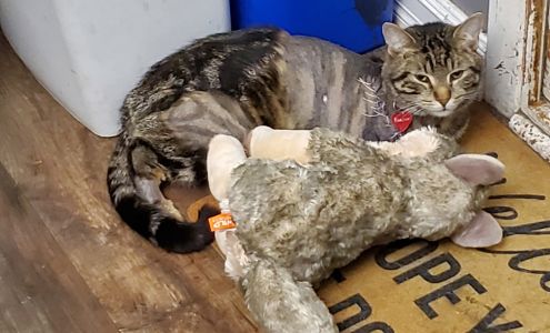 Prairie East Veterinary Clinic 145 Kaiser William, Langenburg Saskatchewan S0A 2A0