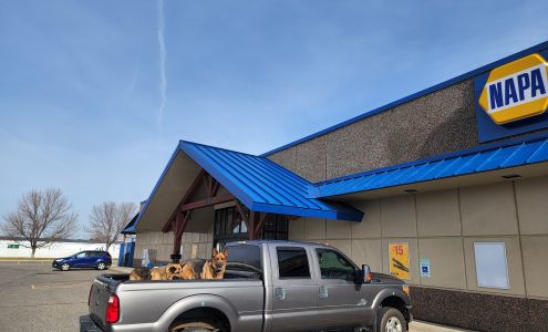 NAPA Auto Parts