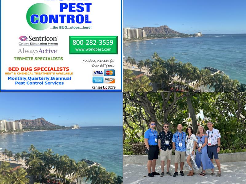 World Pest Control Inc.