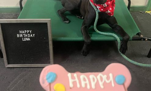 Sit n' Stay Pet Services