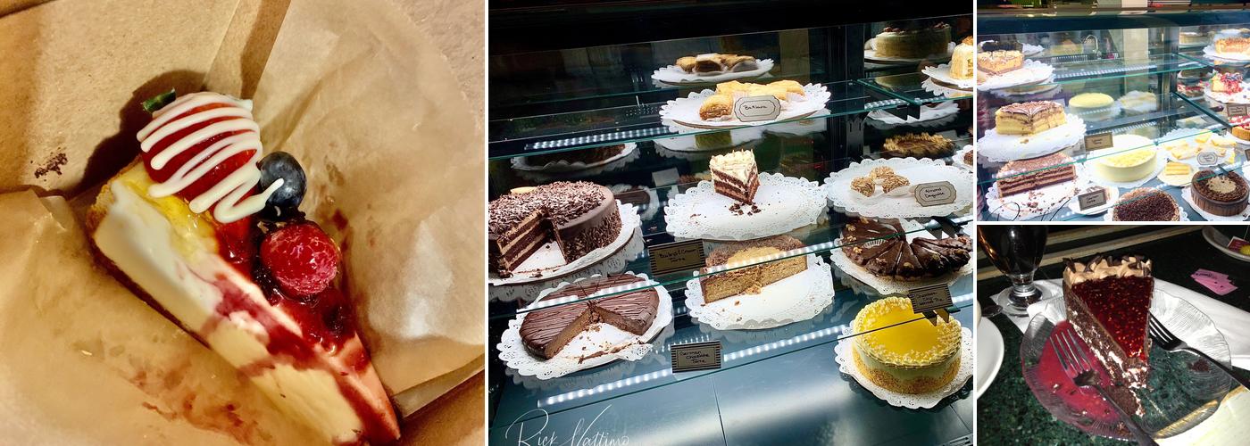 Phillips Eleanor V DDS