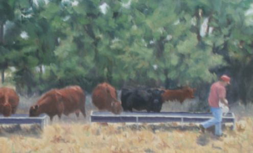 Bill New Gelbvieh Arnett